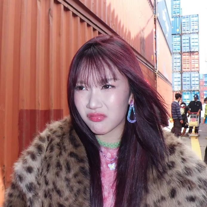 Hoff 🌘 tweet media