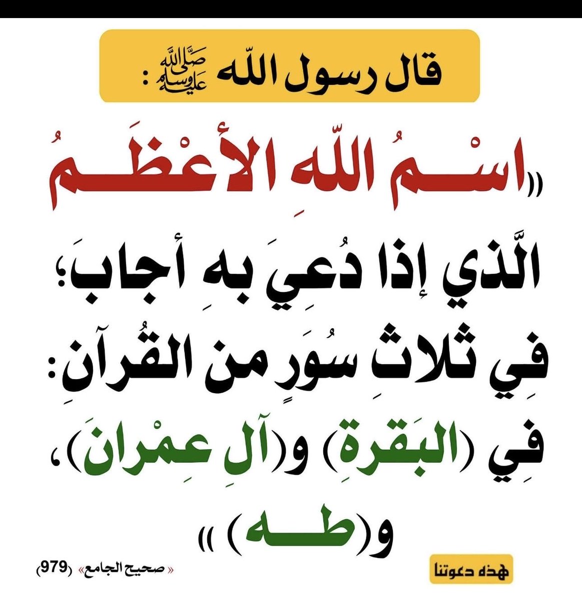 M.J 🇸🇦 tweet media