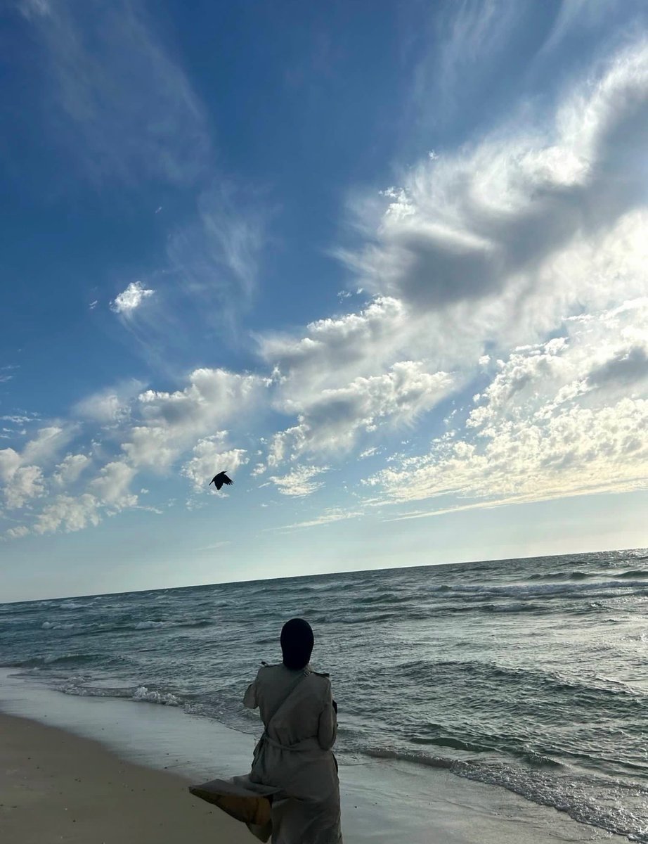 zinah𓂆 tweet media