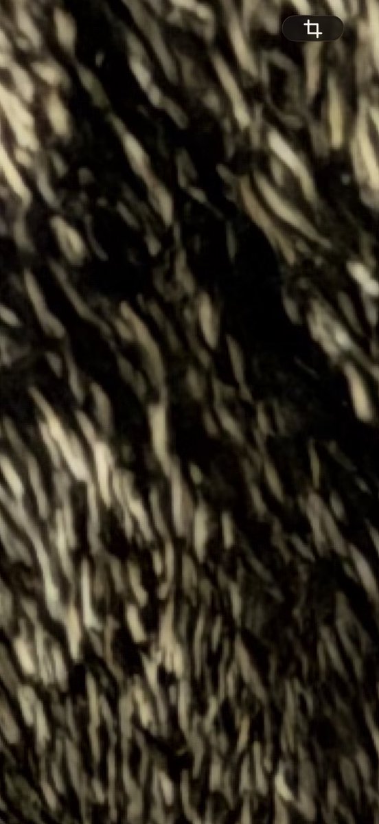 もりっち🍊は腰が痛いVTuber tweet media