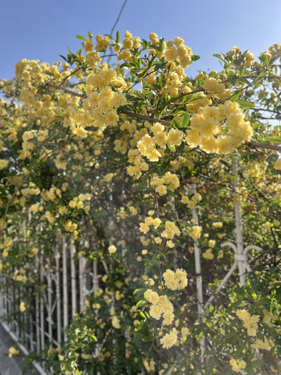 آدم‌خوار tweet media