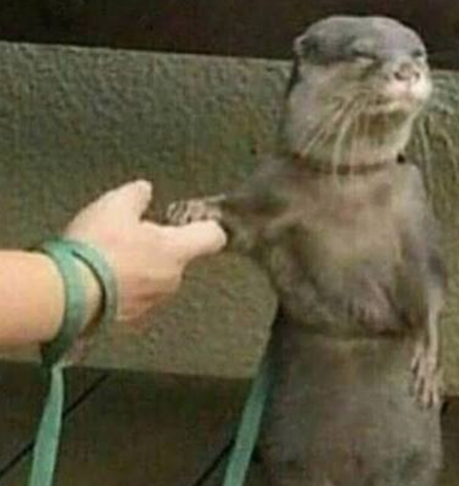 Fahad Alanqri tweet media