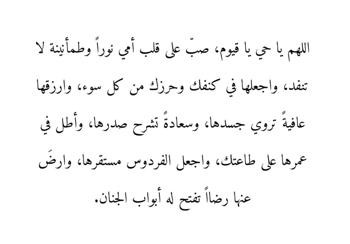 🌺 tweet media