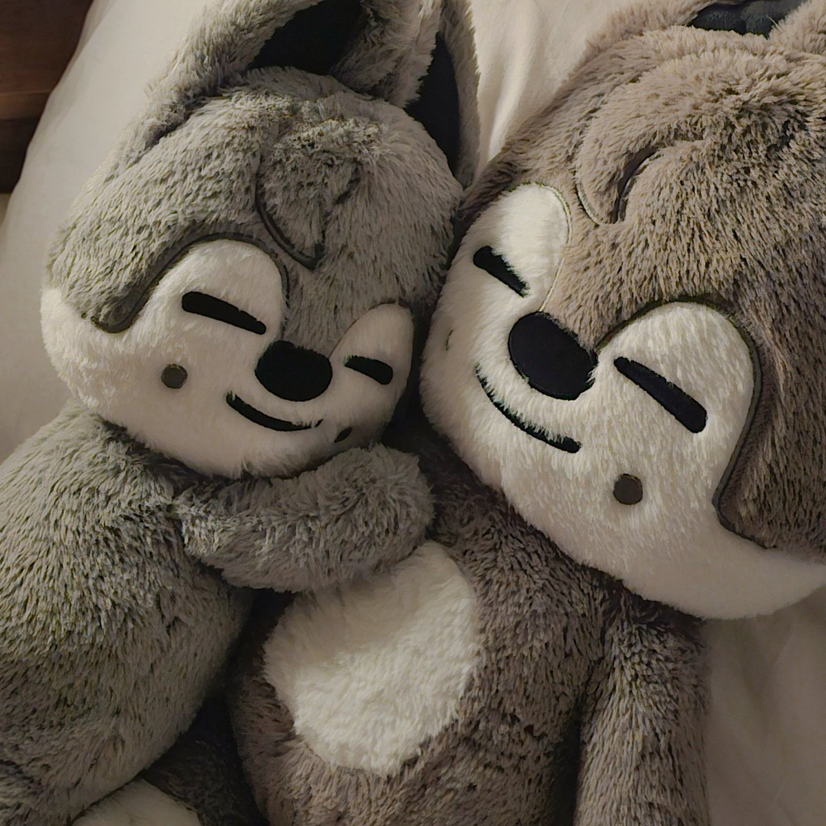 방방즈 tweet media