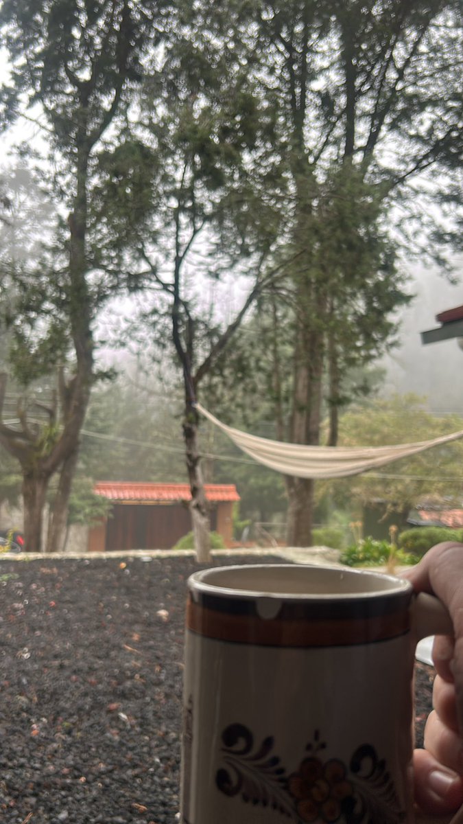 DavidOrci's tweet photo. Cafecito en las montañas. https://t.co/TvQ8shicws