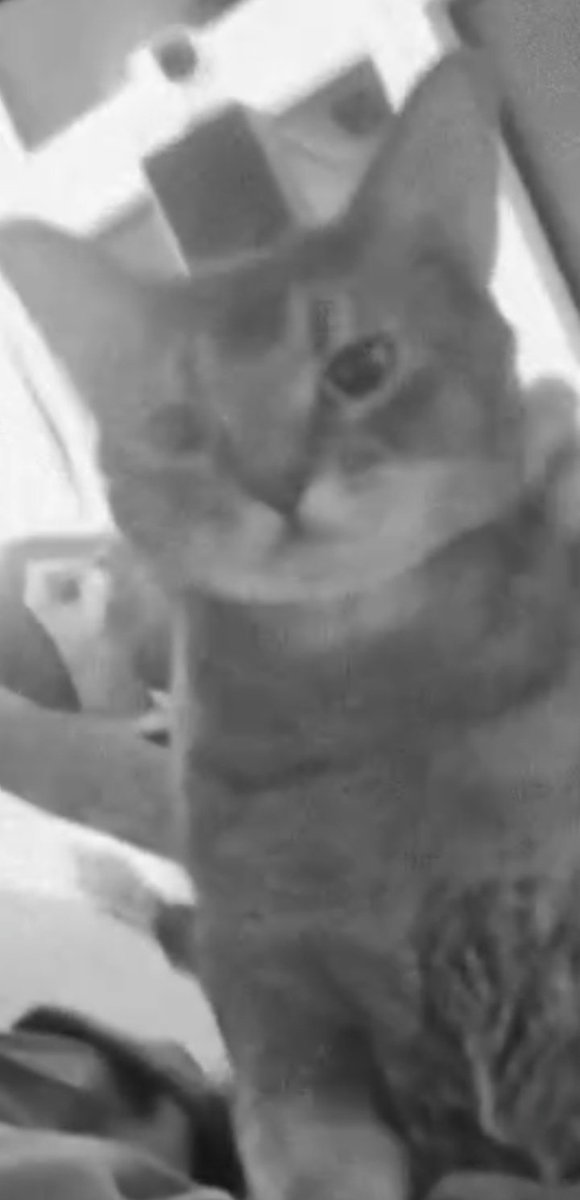 ꒰𝙂𝙐𝙈𝙈𝙔 𝙇𝙀𝙀꒱ tweet media