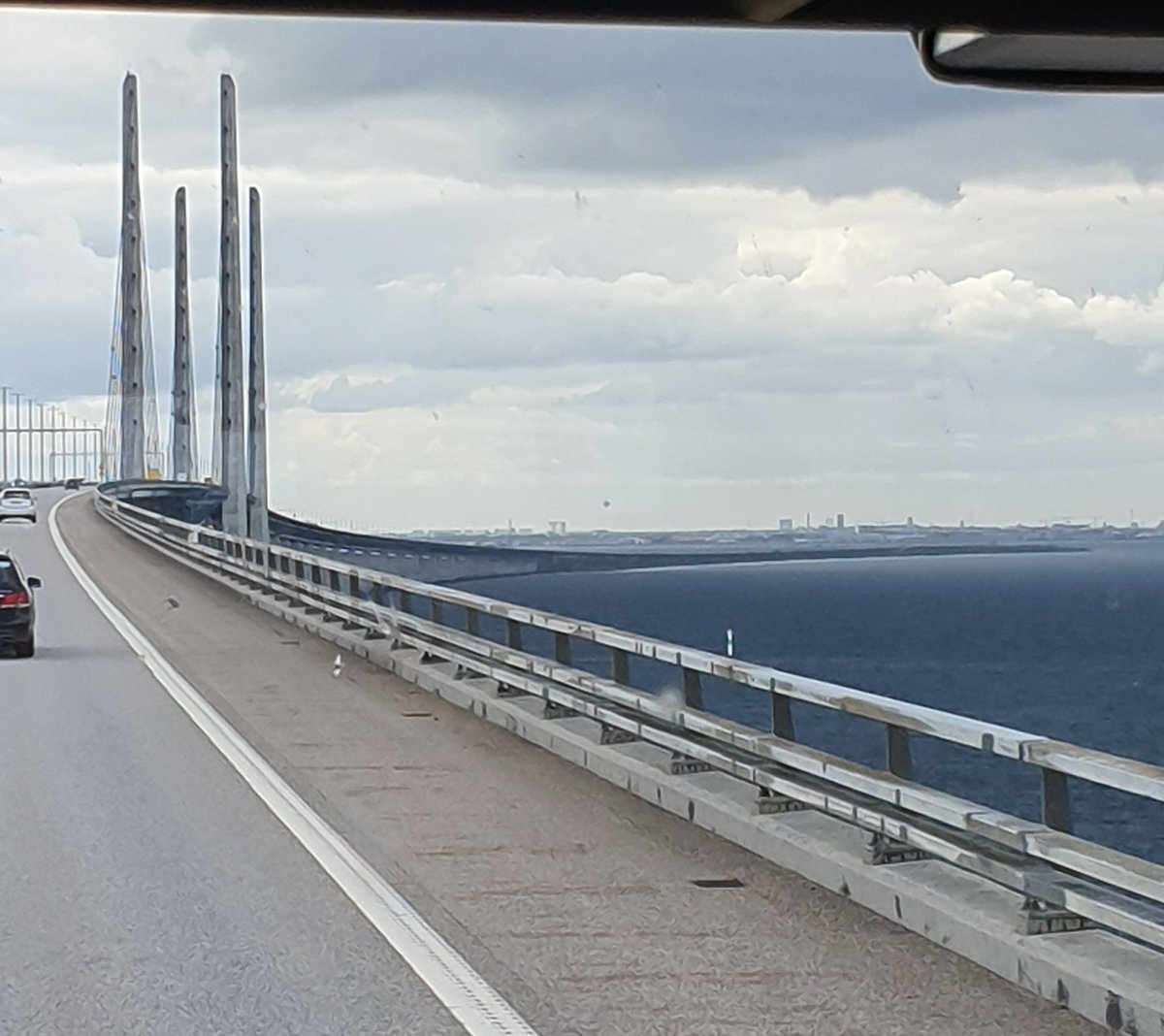 mridulachakraborty.🇮🇳 tweet media