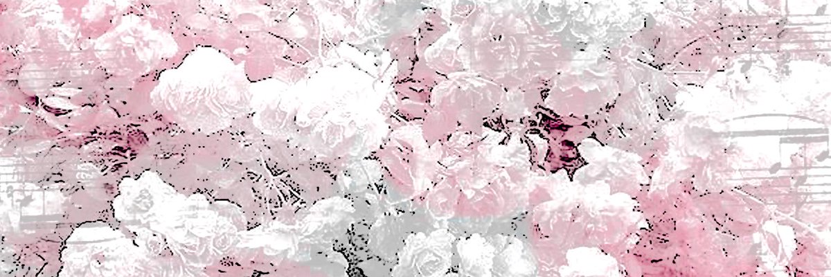 𝙋𝙖𝙡𝙚𝙧𝙢𝙤 Lessons tweet media