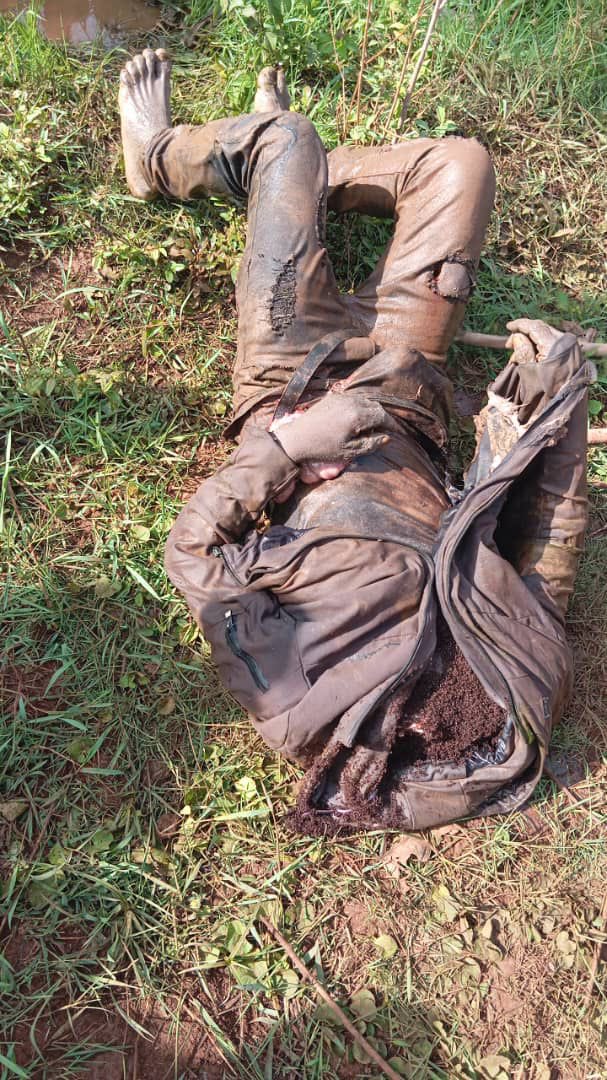 Zagazola tweet media