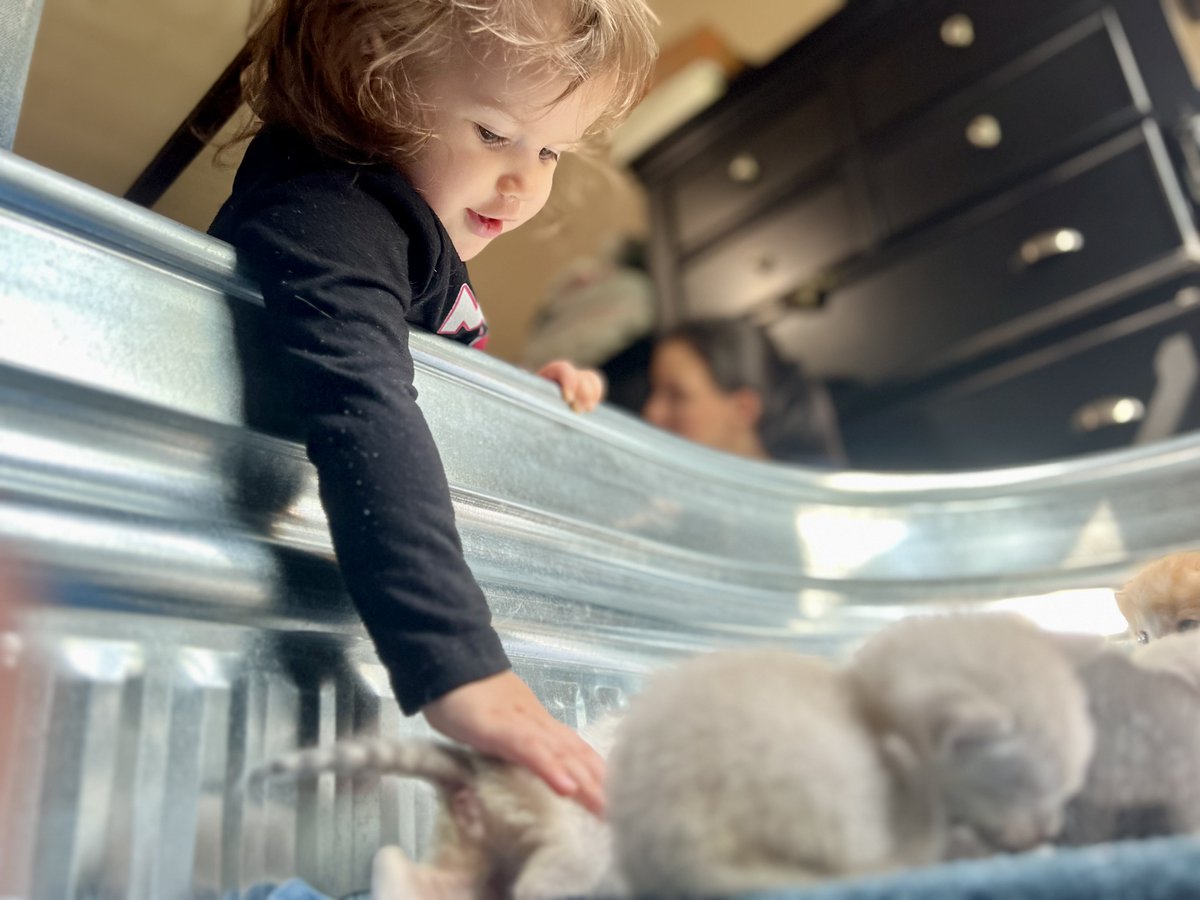 Jason “Storm Chaser” Nelson tweet media