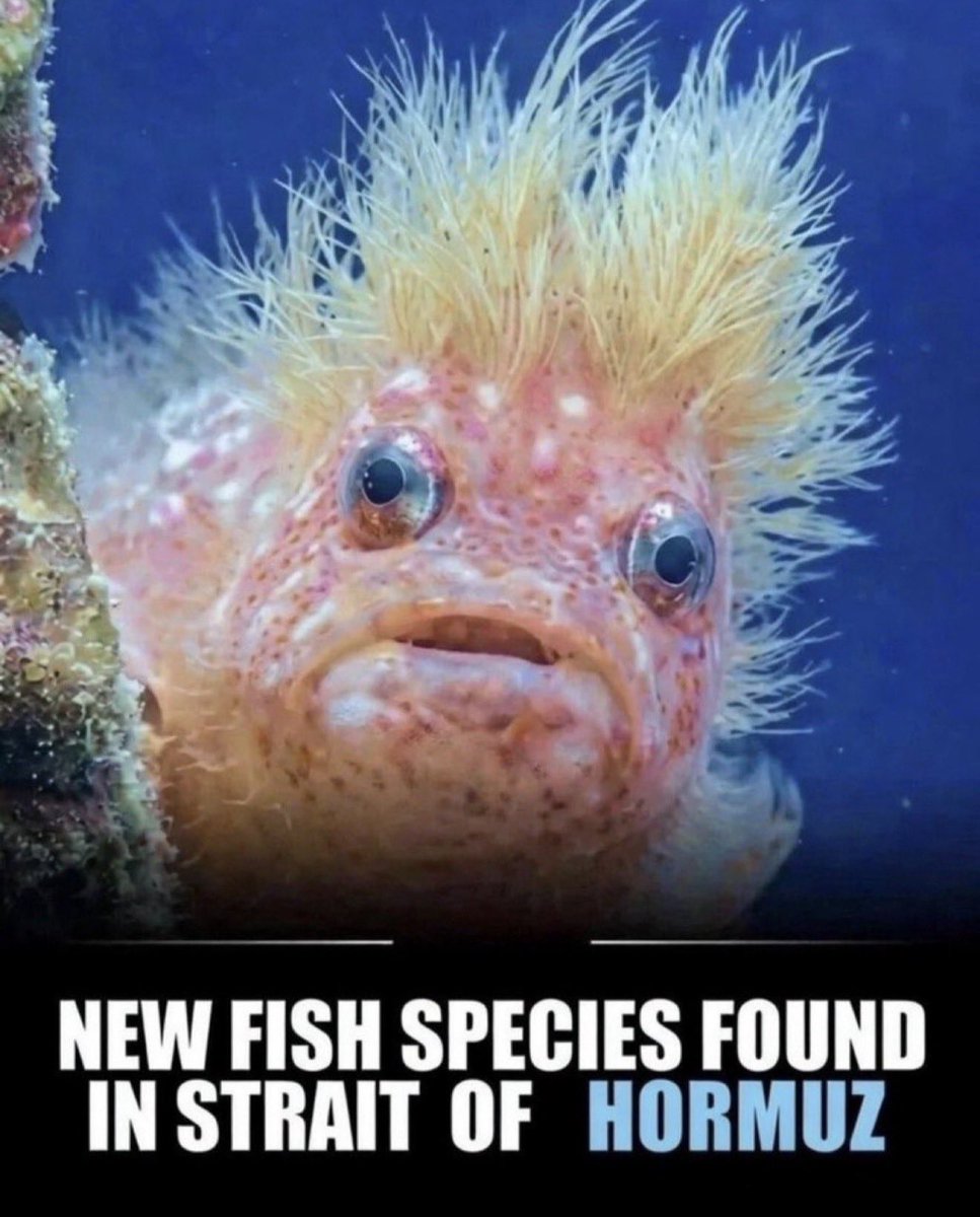 Juanita Broaddrick tweet media