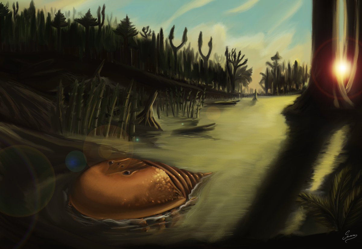 PrehistoricDom's tweet image. Today, let's travel to the Carboniferous, with the art of 𝑺𝒂𝒎𝒖𝒆𝒓𝒖!
Explore more on the Time Travel Map: prehistoricdomain.com/time-travel
#paleoart #dinosaurs