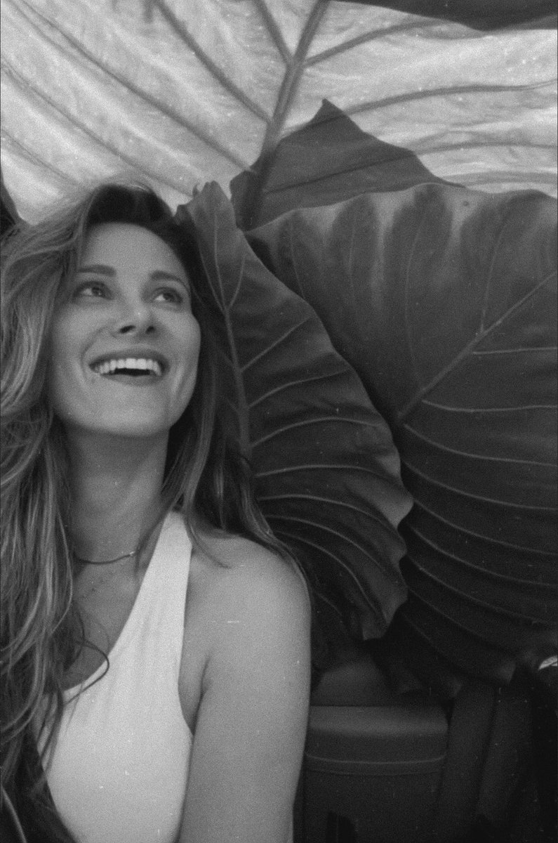 all spampi tweet media