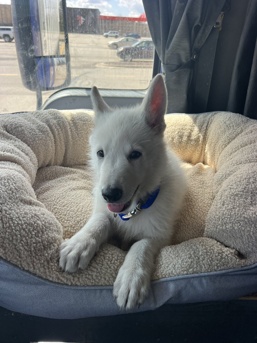 John Gilbertson tweet media