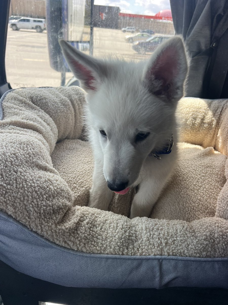 John Gilbertson tweet media