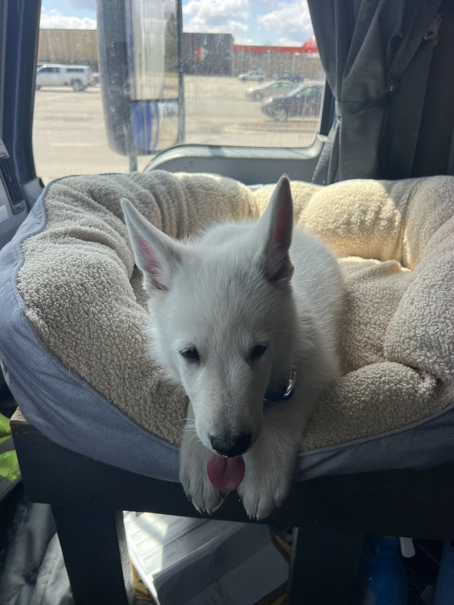 John Gilbertson tweet media