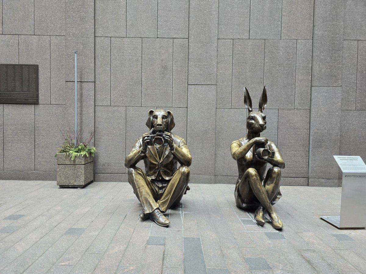 Snowbumble1 tweet media