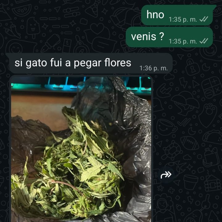 #que #carajianos tweet media