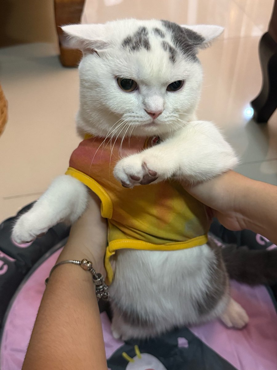 jejemama🎧🩰 tweet media