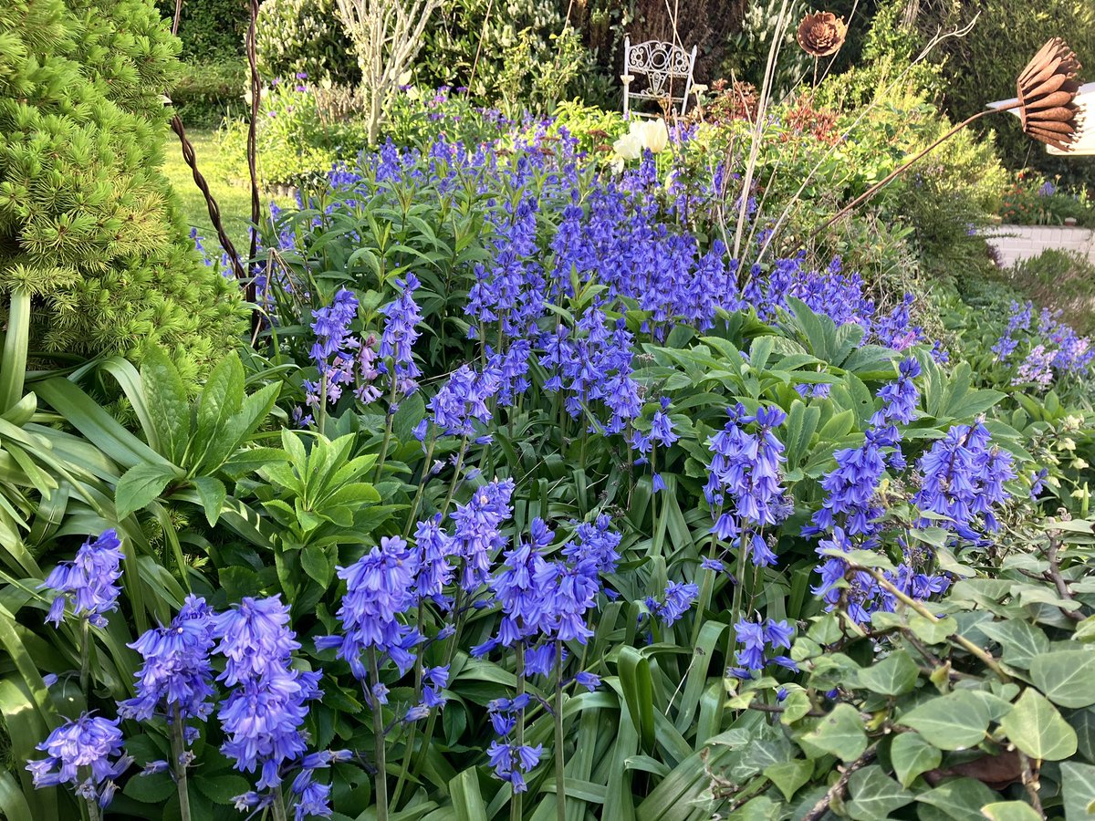 φąմӀ βҽąɾժօա tweet media