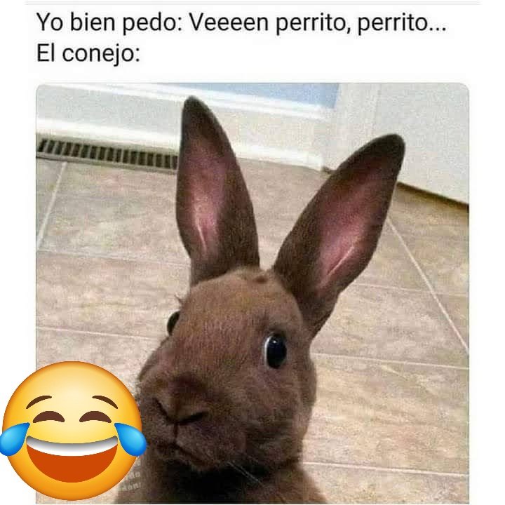 BebetoCano's tweet photo. 🙄🙄🙄😂😂😂 https://t.co/VYJr5fhvXm