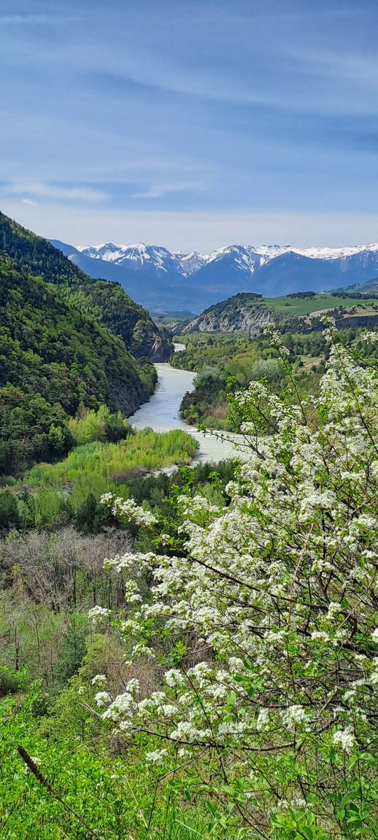 Travelsandphoto's tweet image. La Durance dans les Hautes-Alpes. 

#Durance #alps #mountains #landscape