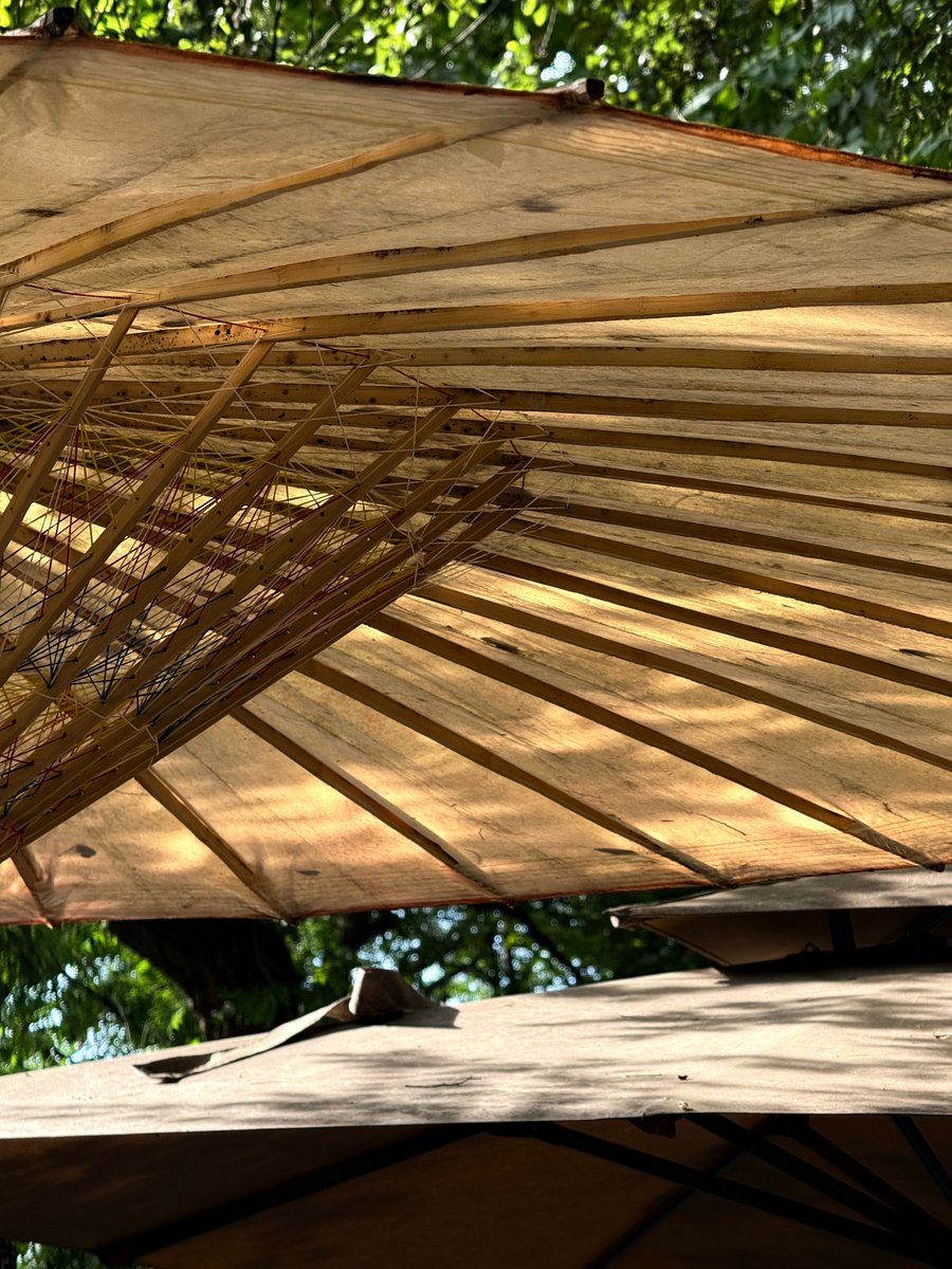 Alexander Schreiter tweet media