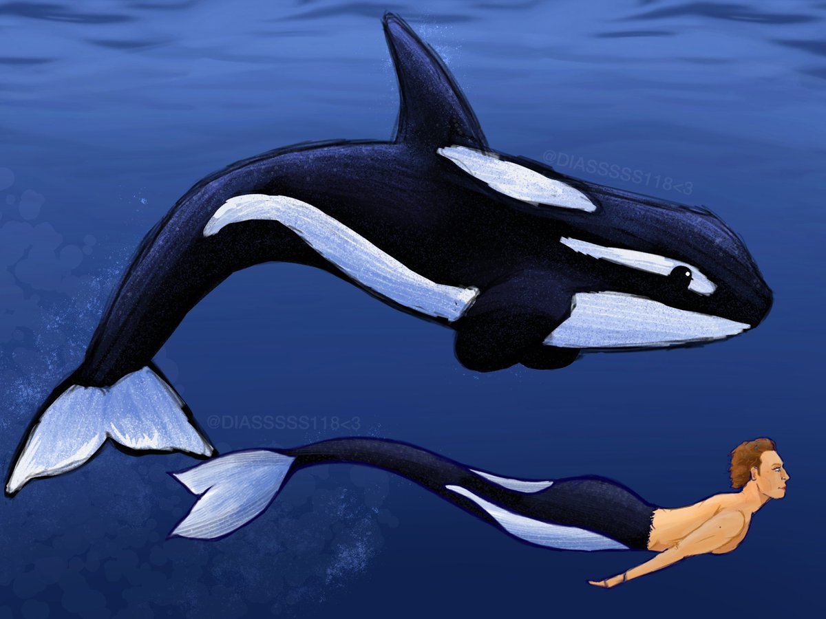 🌲🌞😙 tweet media