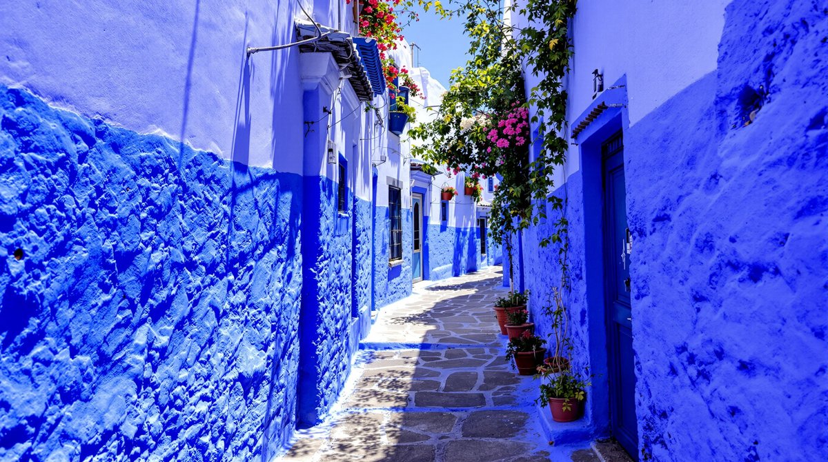 Sparkful tweet media