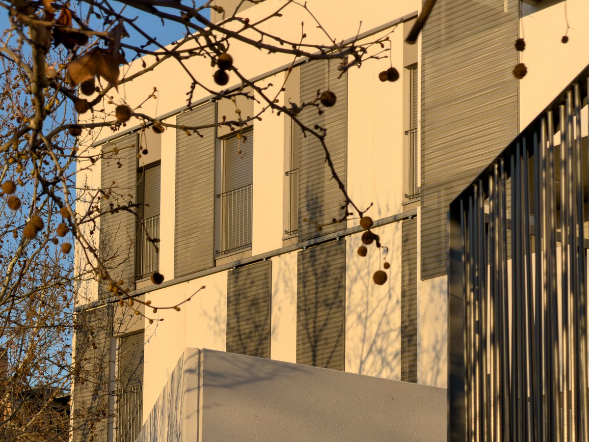 GrupoEgido's tweet image. Las vistas despejadas de la parcela y la orientación oeste de las viviendas de Natura Aranjuez 4 permitieron optimizar la entrada de luz natural y la relación de las viviendas con el exterior.

#NaturaAranjuez #ObraNueva #Aranjuez