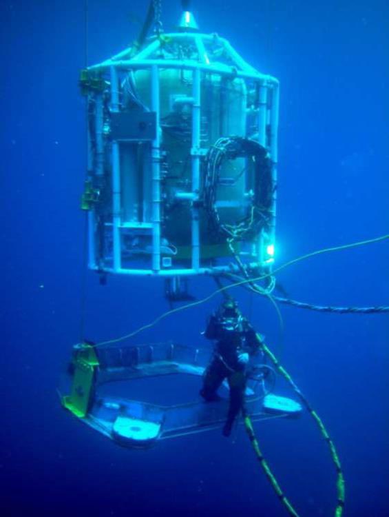 Prometheus tweet media