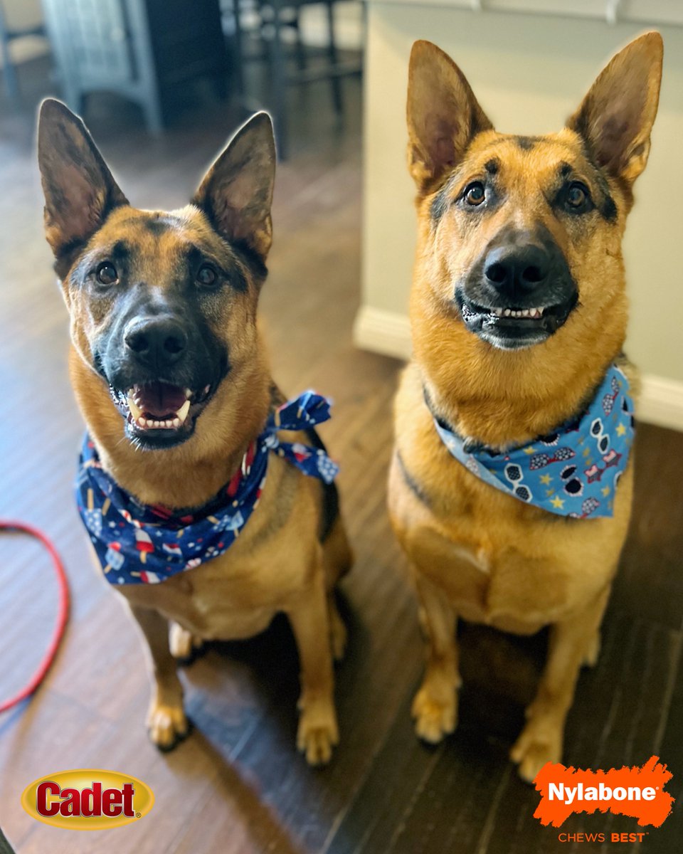 Cal Baseball tweet media