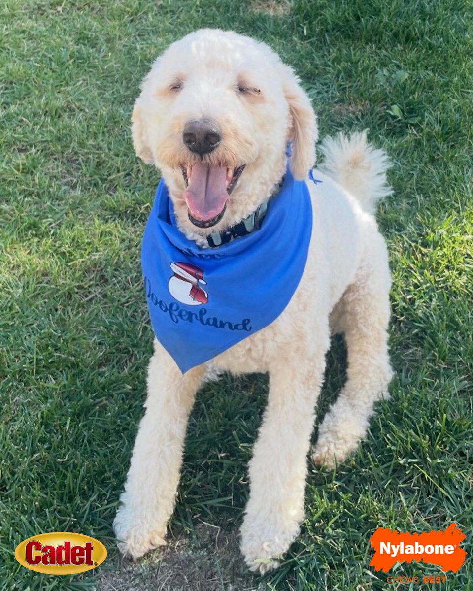 Cal Baseball tweet media