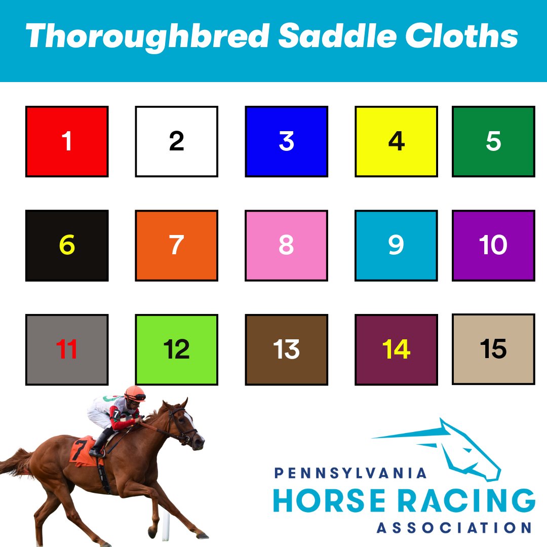 PennHorseRacing's tweet image. With a busy summer of racing coming up, it’s always important to brush up on our horse racing IQ! 🏇📚 Remember—there’s a difference in colors between Standardbred and Thoroughbred number pads!

#HorseRacing #RacingIQ #DidYouKnow #Standardbred #Thoroughbred