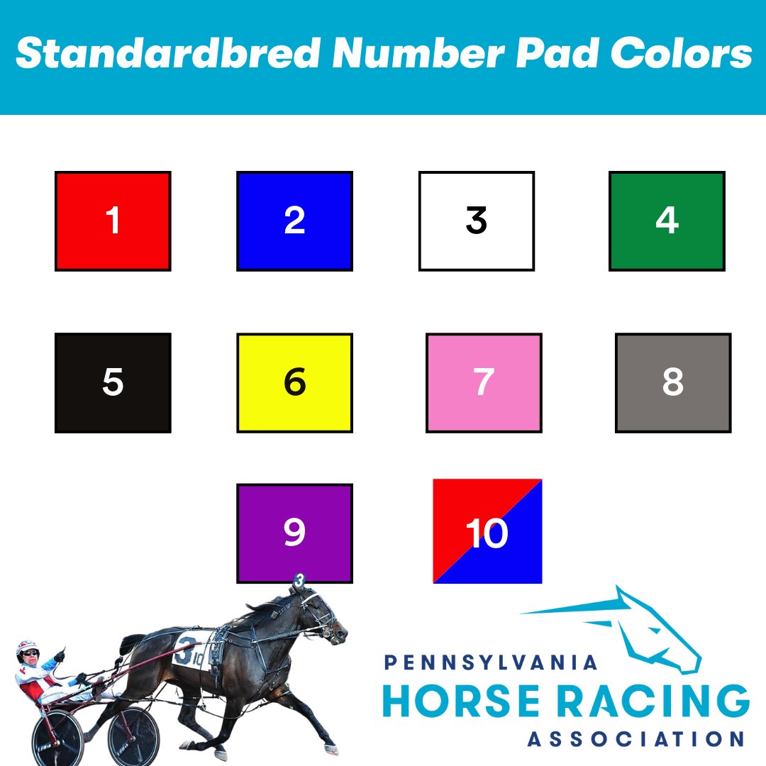 PennHorseRacing's tweet image. With a busy summer of racing coming up, it’s always important to brush up on our horse racing IQ! 🏇📚 Remember—there’s a difference in colors between Standardbred and Thoroughbred number pads!

#HorseRacing #RacingIQ #DidYouKnow #Standardbred #Thoroughbred