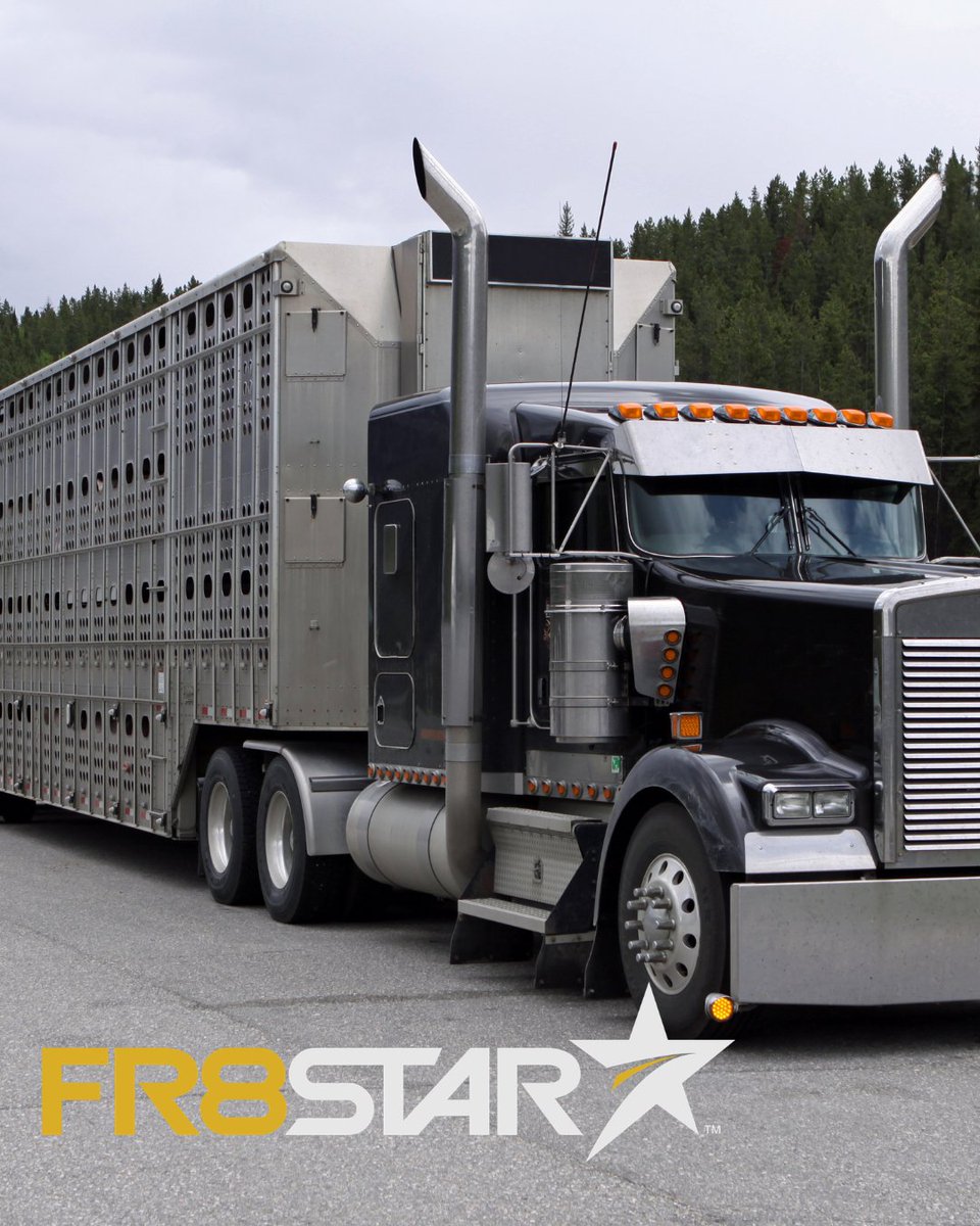 truckpaper's tweet image. Need to move heavy equipment or oversized loads? 

FR8Star makes shipping easy by connecting you with a vetted network of transport experts. 

🔗 FR8Star.com

#FR8Star #HeavyHaul #Logistics #Shipping #Trucking #EquipmentTransport