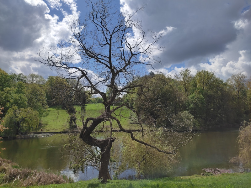 neocyclopi's tweet photo. This Week was the First
of the First @The_Life_Bomb🌱 #SeasonPass🎟️
✅ 133% Day Walk🌳 Done #M2E
✅ Earned 684.83 $CATKN 🪙 #CryptoGaming
✅ Guardian Bonus Enabled for Tomorrow #GameFi
✅ 50km Week Challenge Completed #FitTech
✅ Rewards Claimed (Attribute Point, Honey Pot🍯, Pollen…)
Ready for a New Week…