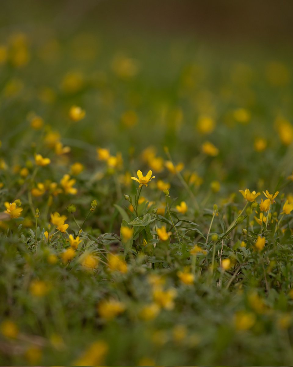 n0thing_man_ tweet media