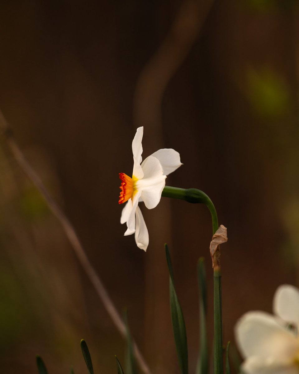 n0thing_man_ tweet media