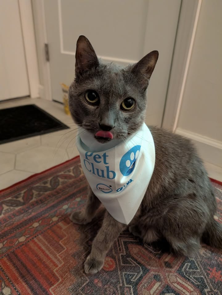 ThinkTV's tweet image. Storm wants to let you know that the ThinkTV Pet Club is a great way to show some love to your pets AND your local PBS station - learn more on our website: thinktv.org/support/petclu… #pbs #pets #localpbs