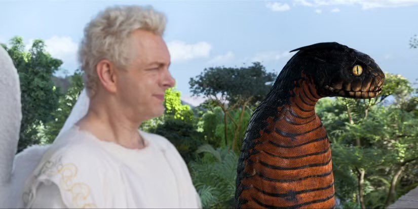 yang 🎨 tweet media