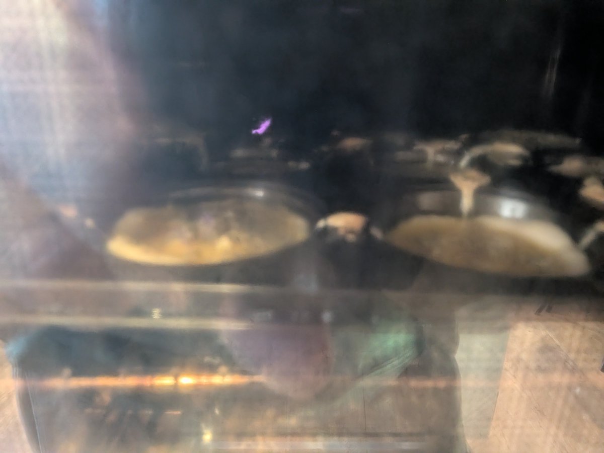 Samson 🇬🇧 tweet media