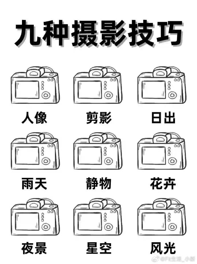 B tweet media