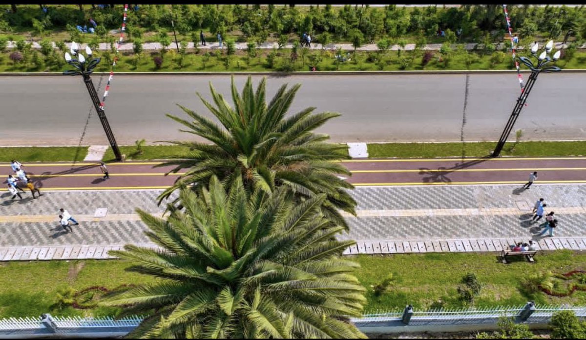 Abdi 🇪🇹 tweet media