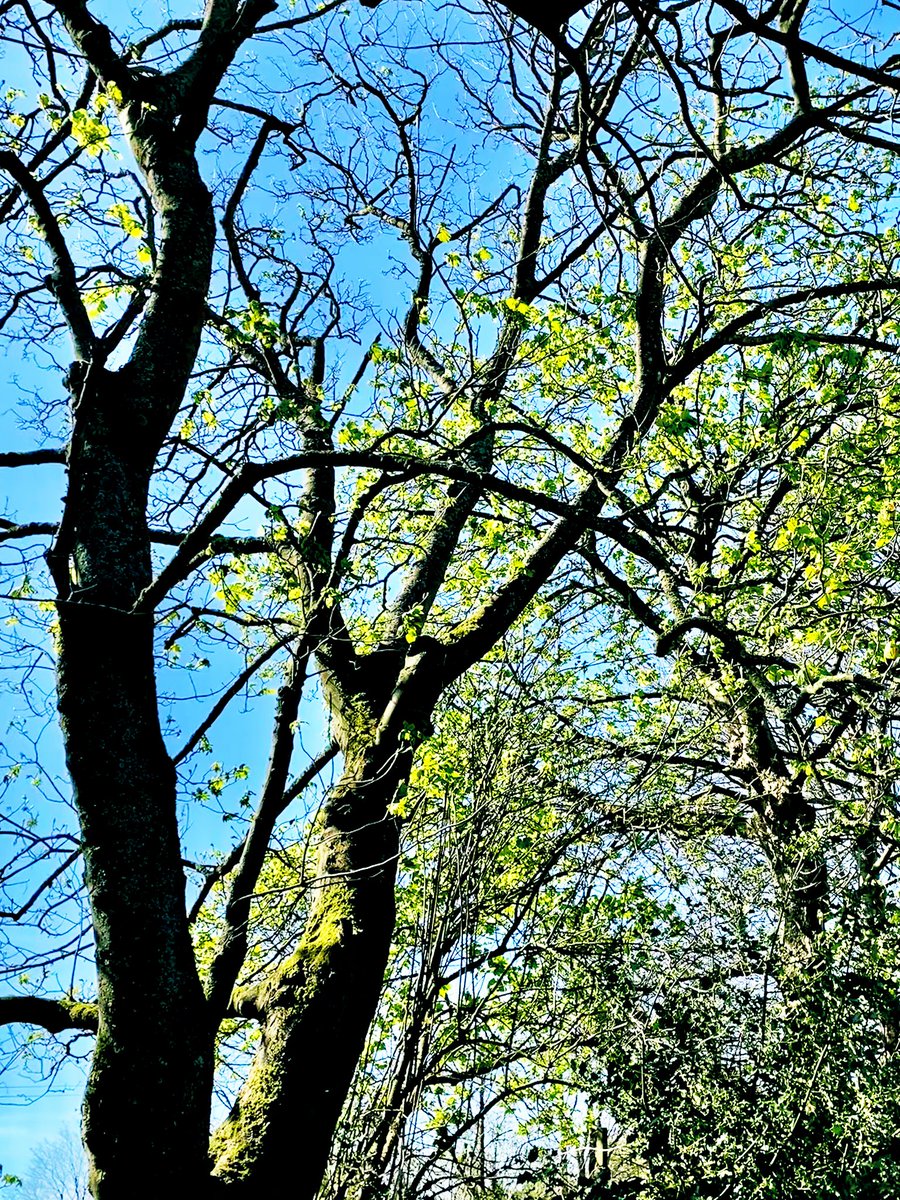 Roger Geeson tweet media