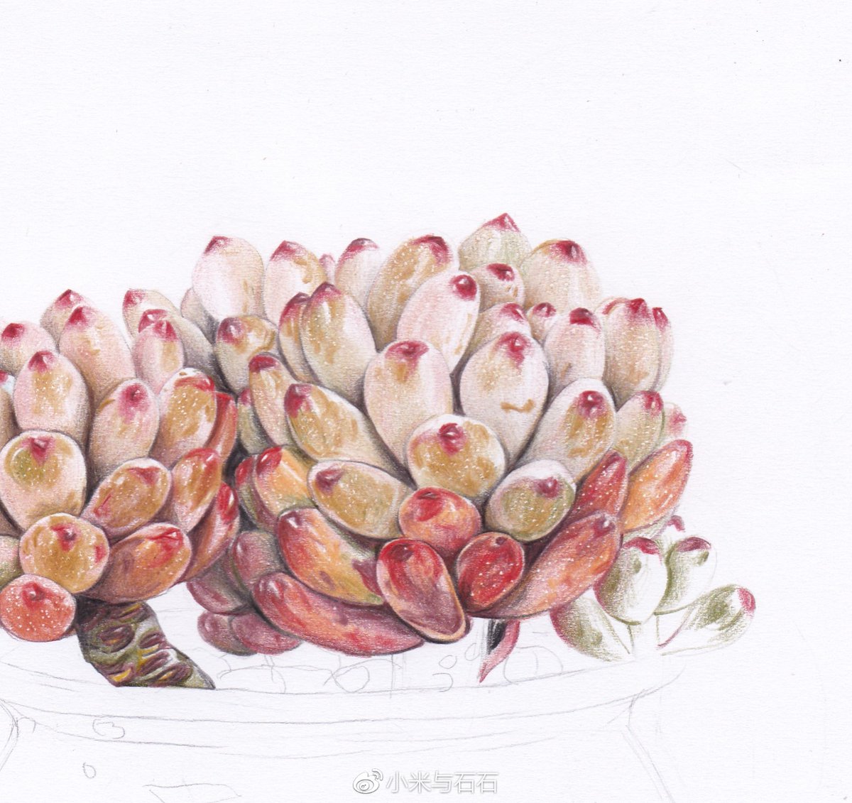 Dee Davison tweet media