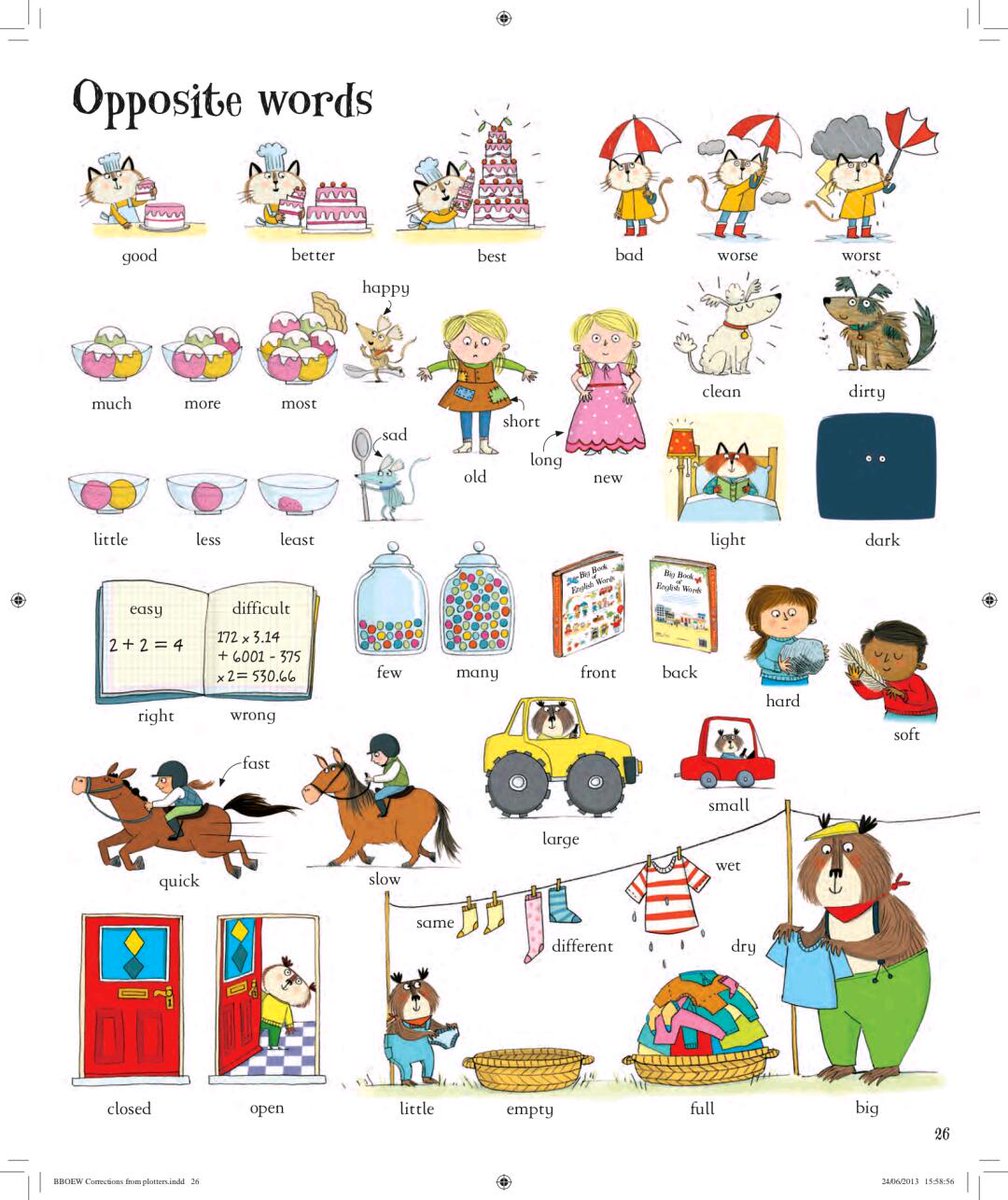 Antonia Skayman tweet media