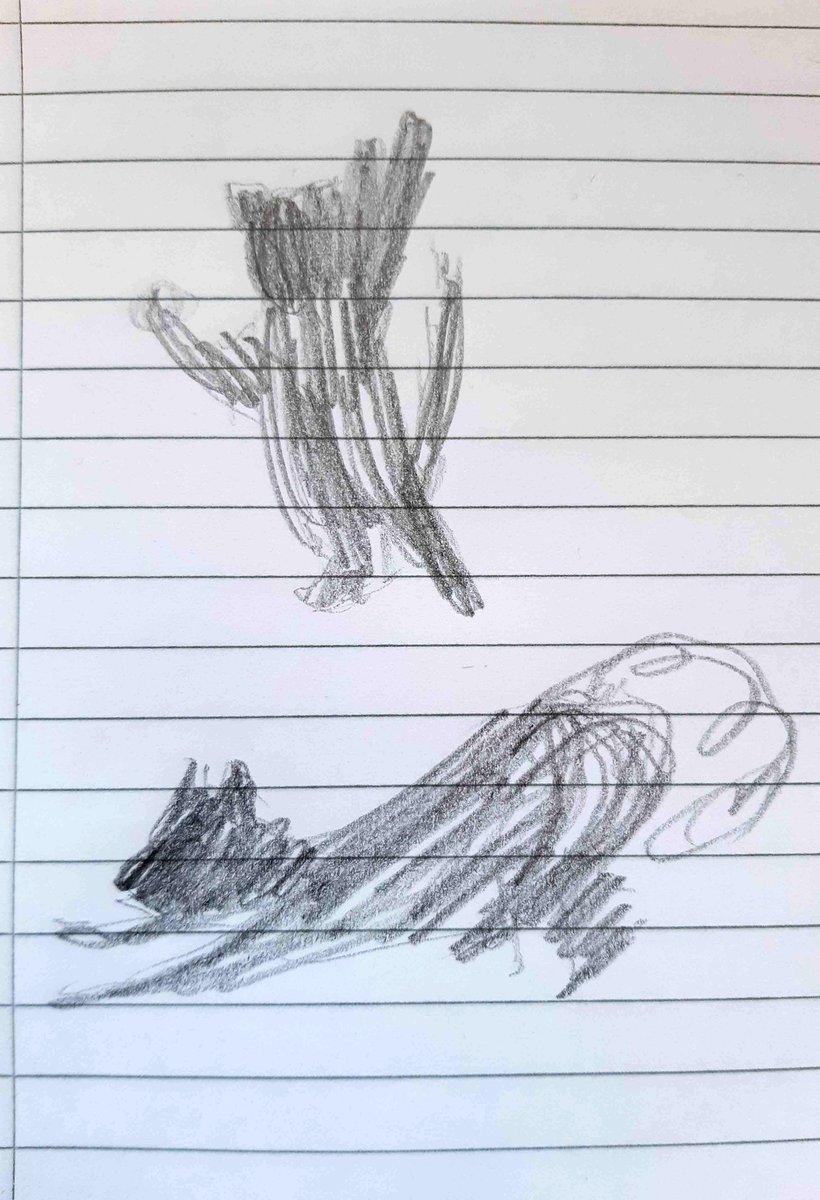 eeeeeeeeeee tweet media