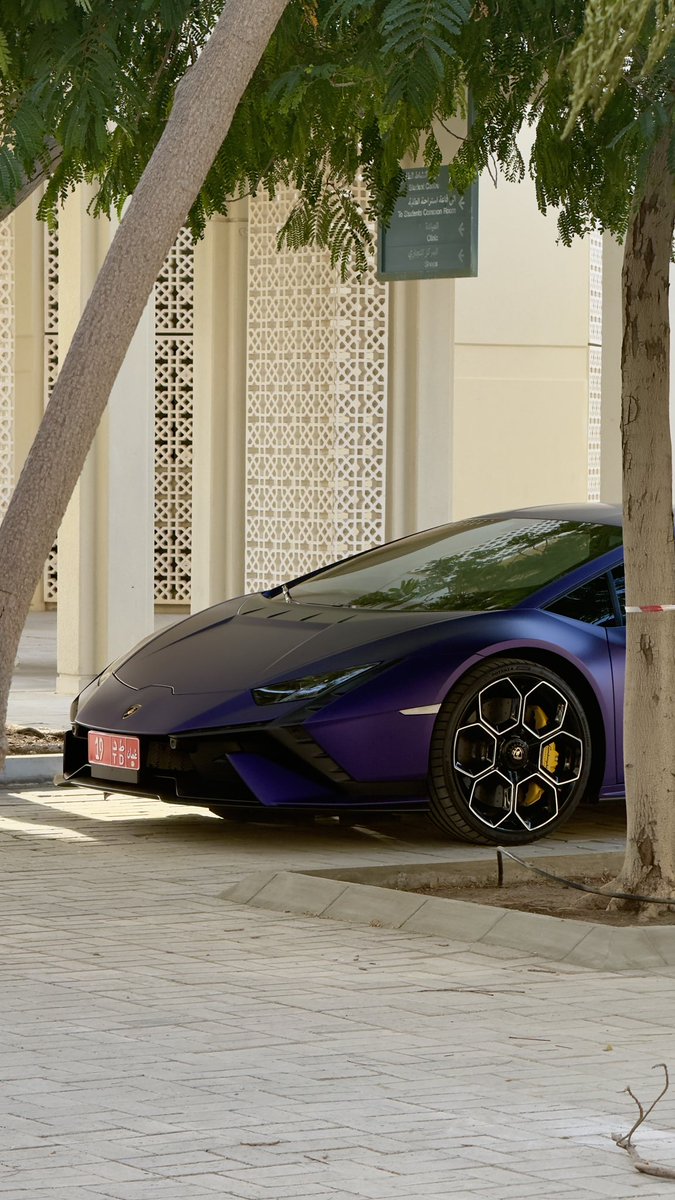 🇵🇸 tweet media