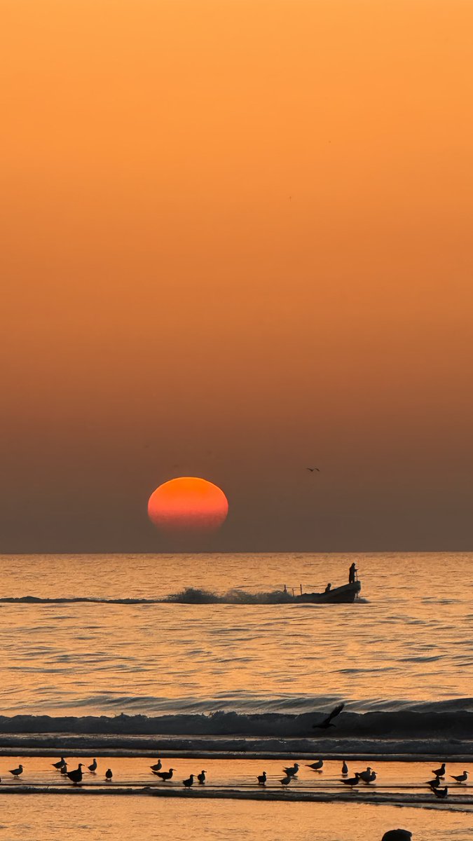 🇵🇸 tweet media